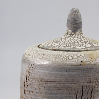 Earthy Textured Urn with Crackle Glaze