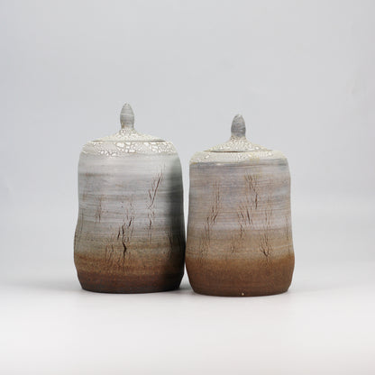 Earthy Textured Urn with Crackle Glaze